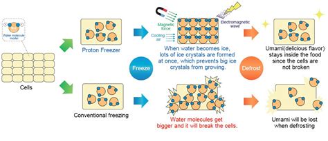proton freezer|What the state.